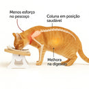 Comedouro Porcelana Luxo Individual Para Gatos