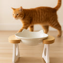 Comedouro Porcelana Luxo Individual Para Gatos