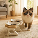 Comedouro Duplo Porcelana Luxo Para Cachorros e Gatos