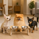 Comedouro Duplo em Inox Para Gatos e Cachorros