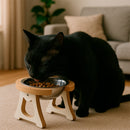 Comedouro Elevado Premium para Gatos com Tigela Inox Design Ergonômico e Sofisticado