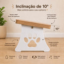 Comedouro Elevado Premium para Gatos com Tigela Inox Design Ergonômico e Sofisticado